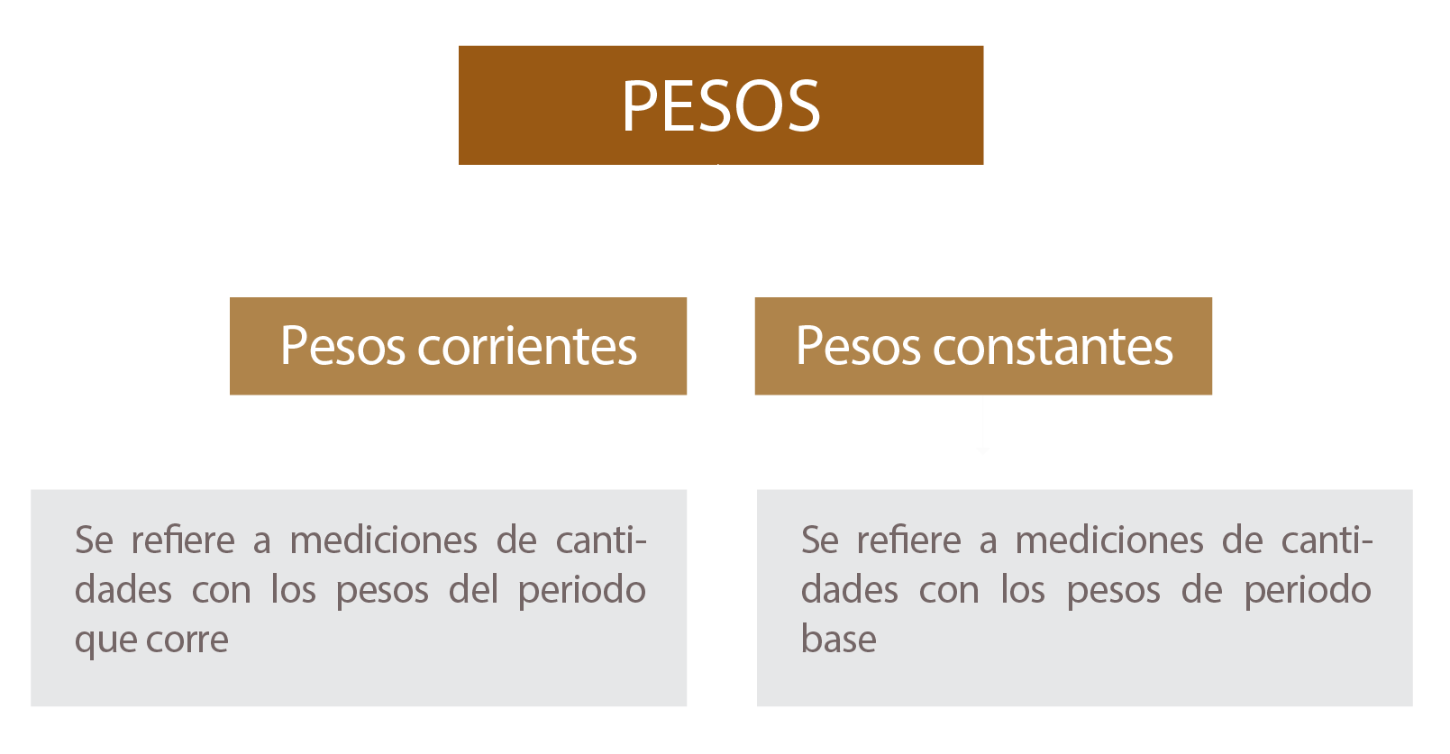 Esquema que muestra que el concepto pesos se puede dividir en pesos corrientes (el que transcurre) y pesos constantes (se usa un periodo base)