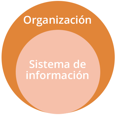 Personas de una organización trabajando con diferentes sistemas de información.