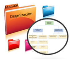 Manual de organización