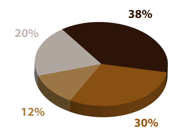 Gráfica circular dividida en cuatro partes, los porcentajes son los siguientes: 38 %, 30 %, 20 % y 12 %
